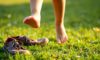 Barefoot Footwear: The Orthopedic Effects on Children’s Feet