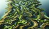 Bellville Golf Club: Your Ideal Golfing Destination