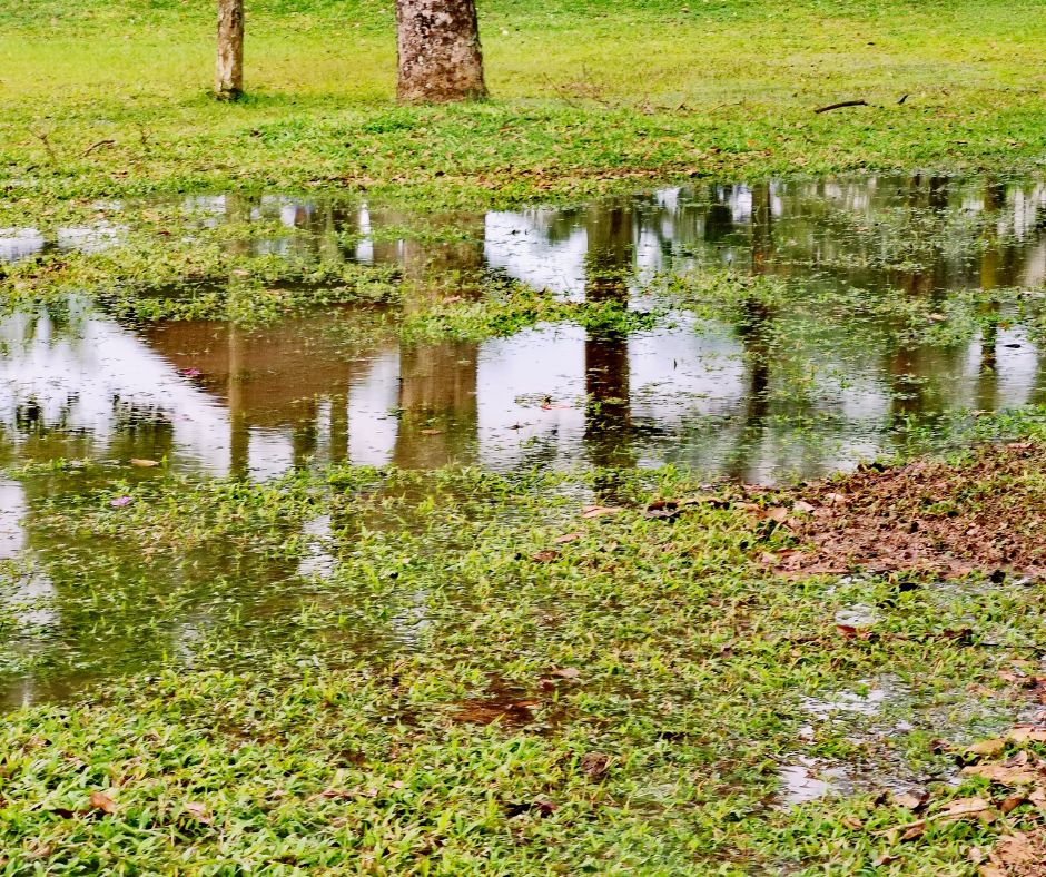 Stormwater Drain Solutions for Wollongong’s Causes