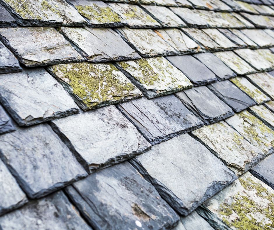 Slate Roof Repair: Critical Signs to Address Immediately