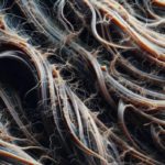 Effective Strategies for Reversing Heat Damage