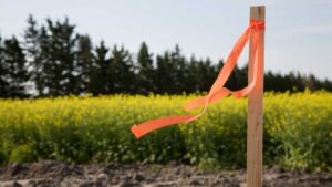 Subdivision Surveys: Essential Insights for Clyde North Land Division