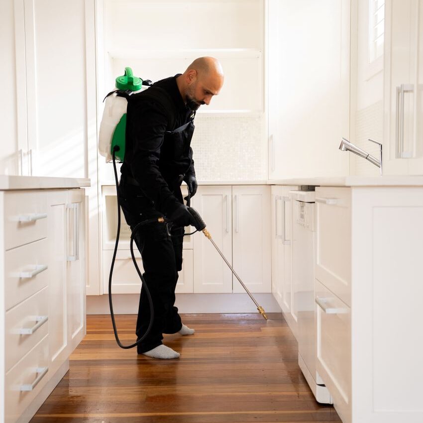 DIY Pest Control: Why Professional Solutions Outperform Sprays
