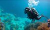 Big Blue Hole: Essential Diving Tips and Guide for Belize