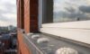 Bird Proofing Solutions: Options for Spike-Free Gel Repellent