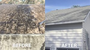 Understand the Essential Role of Soft Washing in Effective Home Maintenance