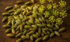Fennel Seed Recipes for Tasty Italian and Indian Dishes