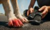 Dog Pavement Safety Tips: Must-Know Summer Guidance