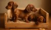 Puppy Comfort Tips for Creating the Perfect Crate Setup
