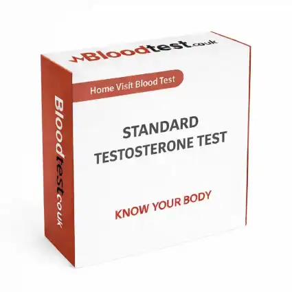 Testosterone Blood Test: A Guide for Plymouth Residents