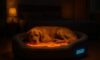 Temperature-Controlled Beds for Pets: Ultimate Comfort Solutions