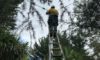 Electrical Defect Notice Response for Mid North Coast Residents