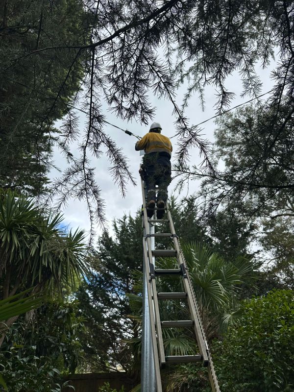 Electrical Defect Notice Response for Mid North Coast Residents