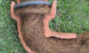Tree Roots in Drains: Solving the Sutherland Shire Problem