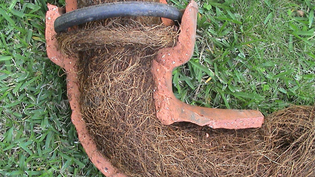 Tree Roots in Drains: Solving the Sutherland Shire Problem